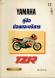 Yamaha TZR